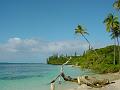 ile des pins (3)